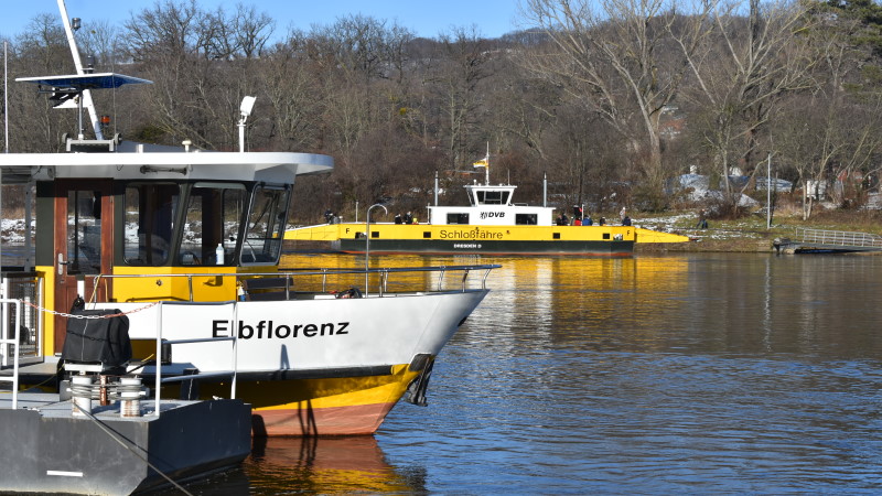 Foto: ©MeiDresden.de