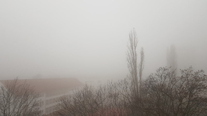 Mit Nebel und leichtem Frost in den Dienstag   Foto: MeiDresden.de