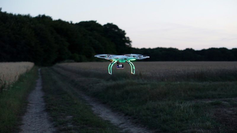 Kampf gegen den Mähtod: Drohnen retten Rehkitze - Foto-Symbolfoto: Kira Hoffmann/Pixabay