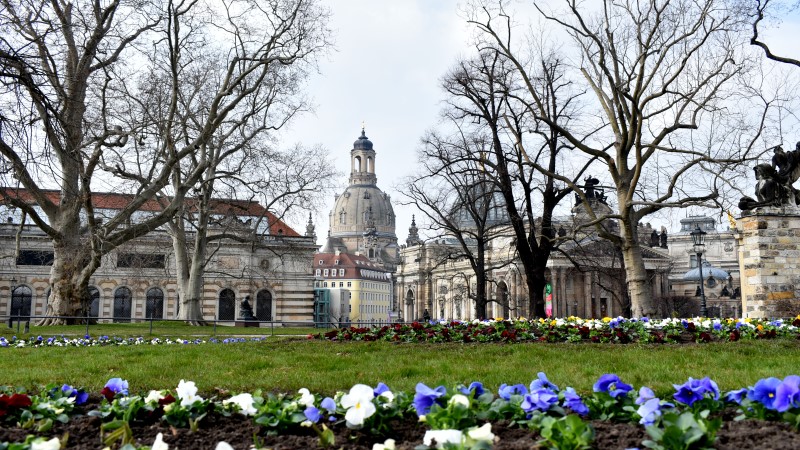 Frühling auf der Brühlschen Terrasse  Foto: MeiDresden.de