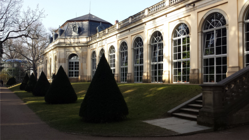 Schlosspark Pillnitz Orangerie mit Kamelie im Hintergrund ©MeiDresden.de