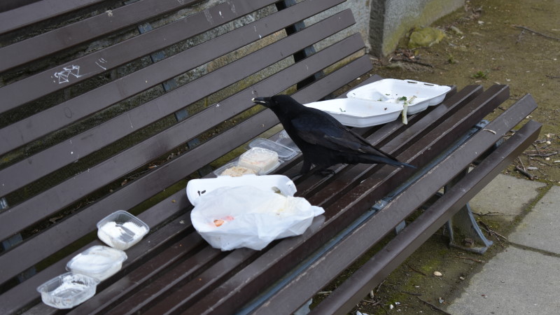 Müllsünder sind überall - Räumt Euren Müll weg!  Foto: MeiDresden.de