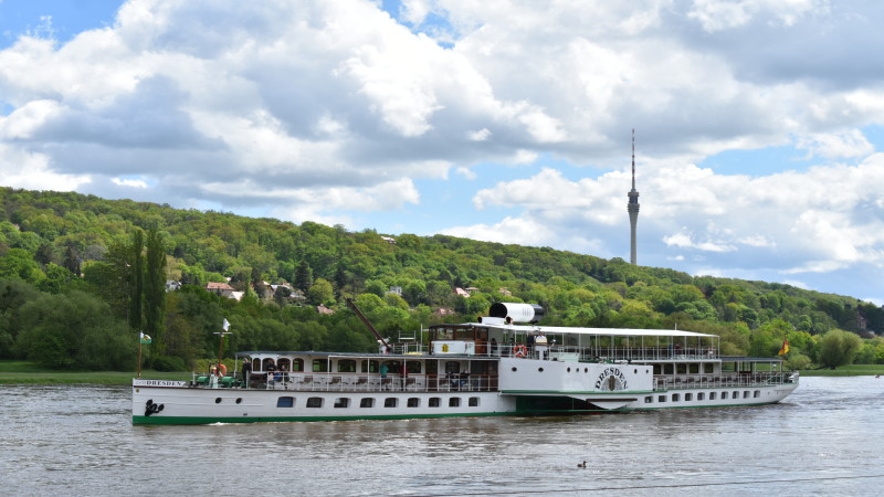 Ahoi auf dem "Personendampfer Dresden"  "PD Dresden" beim Anlegen in Blasewitz   Foto: © MeiDresden.de/Mike Schiller