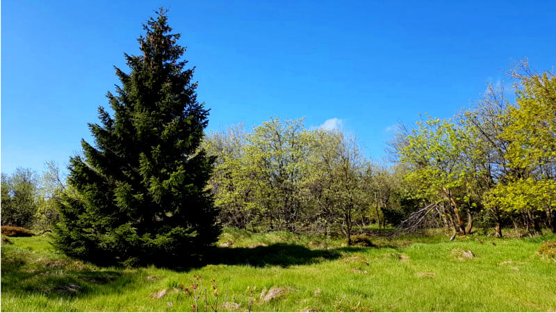 © MeiDresden.de/ Mike Schiller