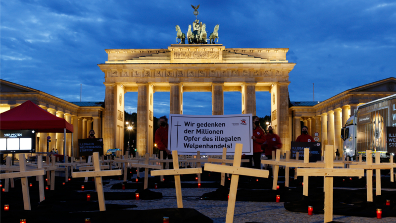 VIER PFOTEN Mahnwache zum Gedenken an die Millionen Opfer des illegalen Welpenhandels ©VIER PFOTEN / Christopher Koch