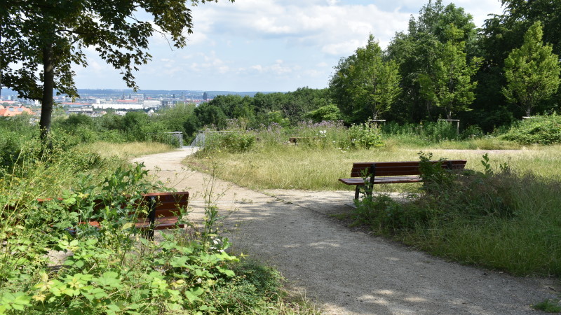 "Dresdner Südpark" Blick Richtung Stadt  Foto: © MeiDresden.de