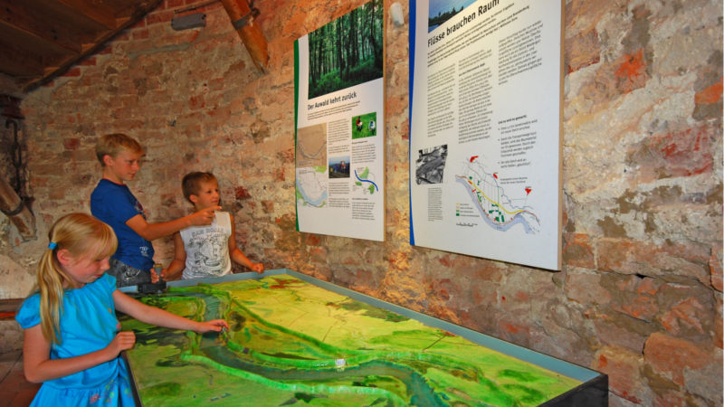 Im BUND-Besucherzentrum auf Burg Lenzen ist die erlebnisreiche Ausstellung „Flusslandschaft am Grünen Band“ zu sehen ©djdTourismusverband PrignitzCorporate Art