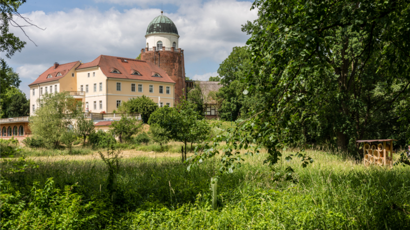 Burg Lenzen liegt am Rand des gleichnamigen Städtchens im Grünen. ©djdTourismusverband Prignitz/ Markus Tiemann