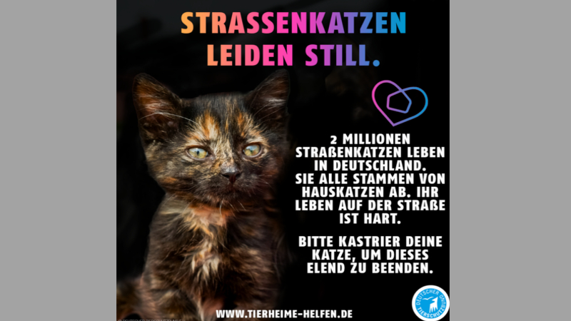 Eines der Sharepic-Motive, mit denen Tierfreunde auf ihren eigenen Social-Media-Kanälen auf die Problematik aufmerksam machen können. ©Deutscher Tierschutzbund e.V