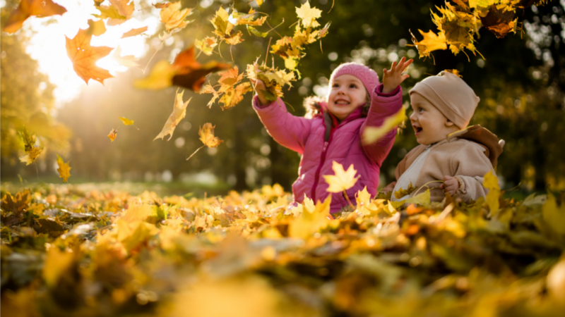 Am Wochenende erwartet uns goldenes Oktoberwetter - Doch Obacht Die Nächte sind sehr frisch ©WetterOnline