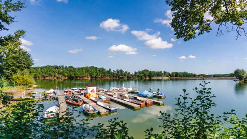 Das Naturgewässer an der Koberbachtalsperre lässt sich mit Kanus, Tret- und Ruderbooten befahren. ©djd/Tourismusregion Zwickau/Oliver Göhler