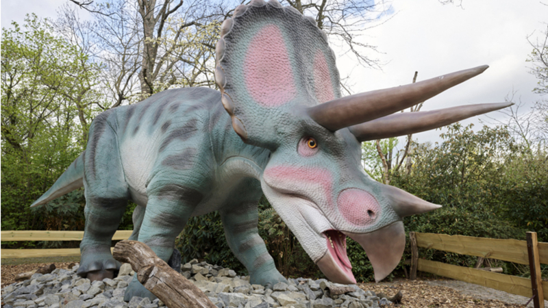 Triceratops im Zoo Leipzig © Zoo Leipzig