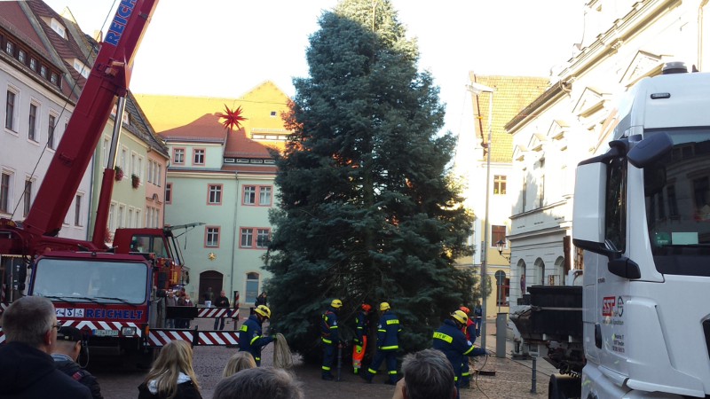 Der Weihnachtsbaum für den Pirnaer Canalettomarkt ist da ©MeiDresden.de / Frank Loose