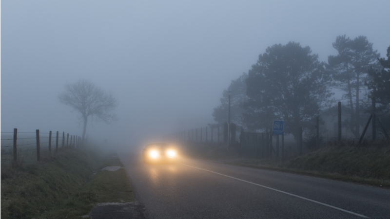 Am häufigsten tritt Nebel bei uns in der dunklen und kühlen Jahreshälfte auf ©WetterOnline