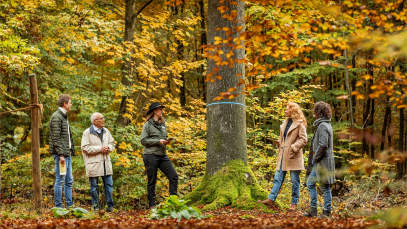 Waldführung im FriedWald ©FriedWald GmbH