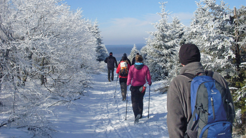 Von Osterode aus können Urlauber zu schönen Winterwanderungen starten. © djd/Deutsche Fachwerkstraße/Stadt Osterode