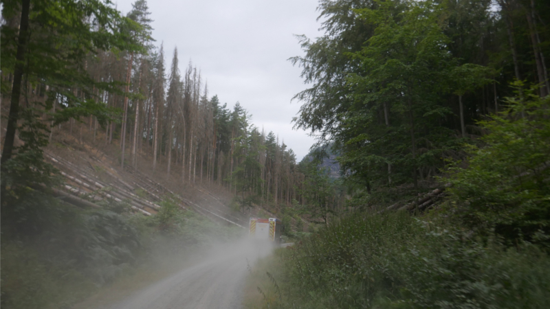  ©Feuerwehr Dresden Dresdner Löschfahrzeug auf dem Weg zum Waldbrandeinsatz