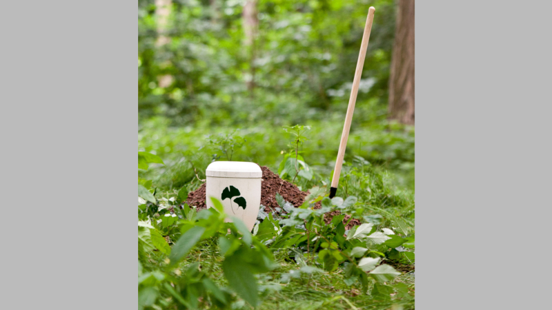 Bei einer Waldbestattung kommen ausschließlich biologisch abbaubare Urnen in die Erde. ©djd/Friedwald