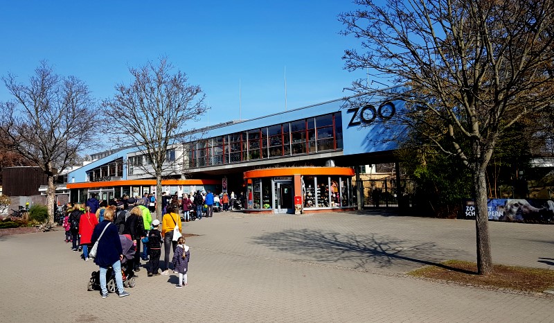Anstehzen am Zoo   Foto: MeiDresden.de