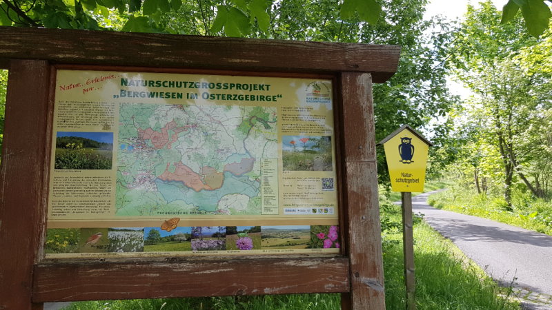 Bergwiese am Hüttenteich in Geising  © MeiDresden.de