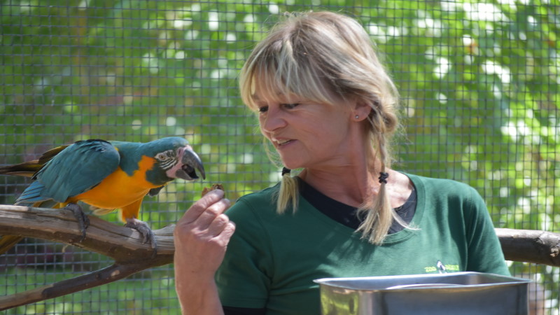 Vogelpflegerin Heike Thürgen in der Aras-Voliere ©MeiDresden.de/ Mike Schiller