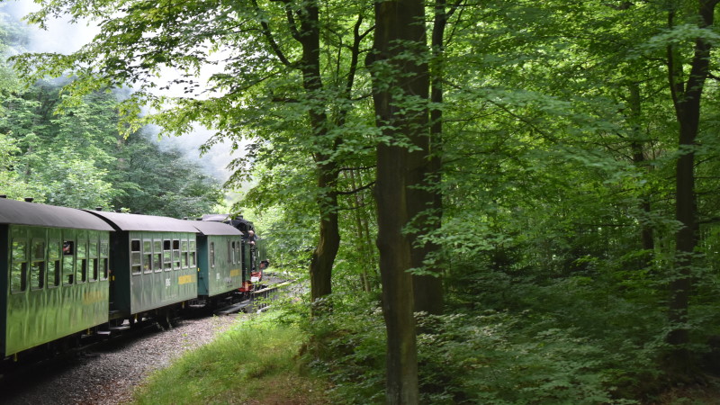 Weißeritztalbahn auf der Fahrt von Freital-Hainsberg nach Kurort Kippsdorf  Foto: © MeiDresden.de/Mike Schiller