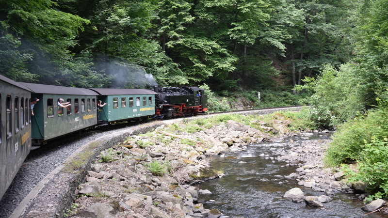 Weißeritztalbahn auf der Fahrt von Freital-Hainsberg nach Kurort Kippsdorf  Foto: © MeiDresden.de/Mike Schiller