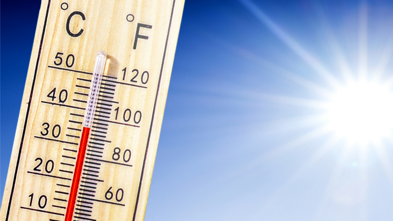 Am Wochenende wird es heiß: Regional sind mit mehr als 35 Grad neue Rekordwerte für Mitte Juni möglich. ©WetterOnline