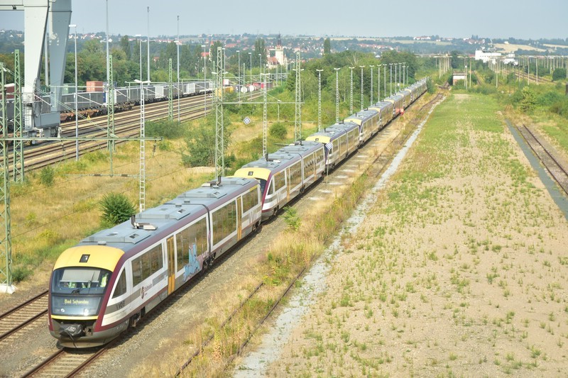 © MeiDresden.de  Archiv