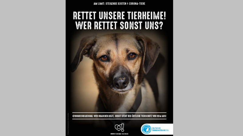 Tierheime am Limit ©Deutscher Tierschutzbund e.V.