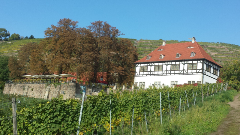 Weinwanderung in die Lößnitz - Schloß Hoflößnitz mit dem Sächsichen Weinbaumusem ©MeiDresden.de