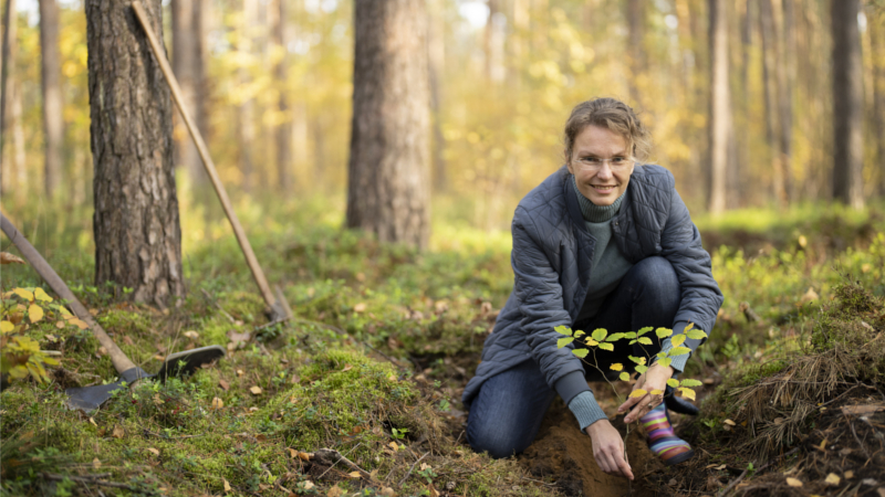 DB und Bergwaldprojekt pflanzen zehntausende Bäume für neue Mitarbeitende ©DB AG/ Hans Christian Plambeck