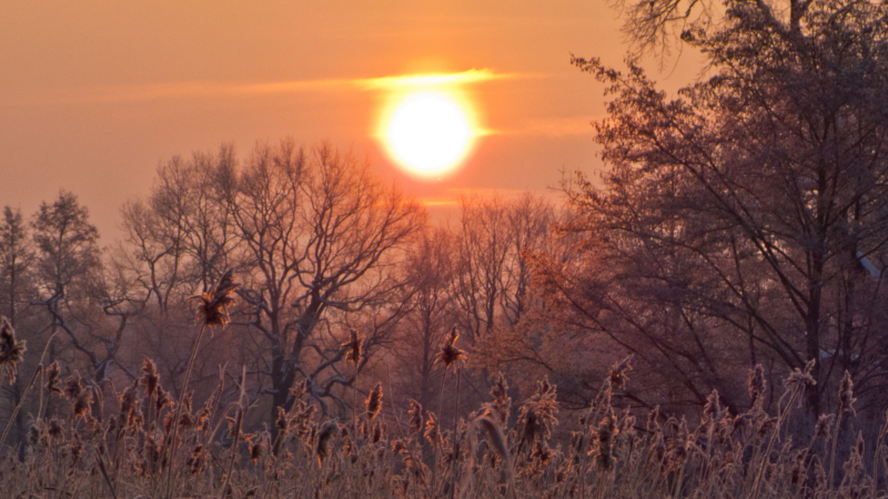 Sonnenaufgang Winter Altdubin ©Dirk Weis