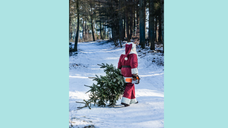 Auch der Weihnachtsmann würde seinen Festtagsbaum am liebsten selbst schlagen. © djd/STIHL