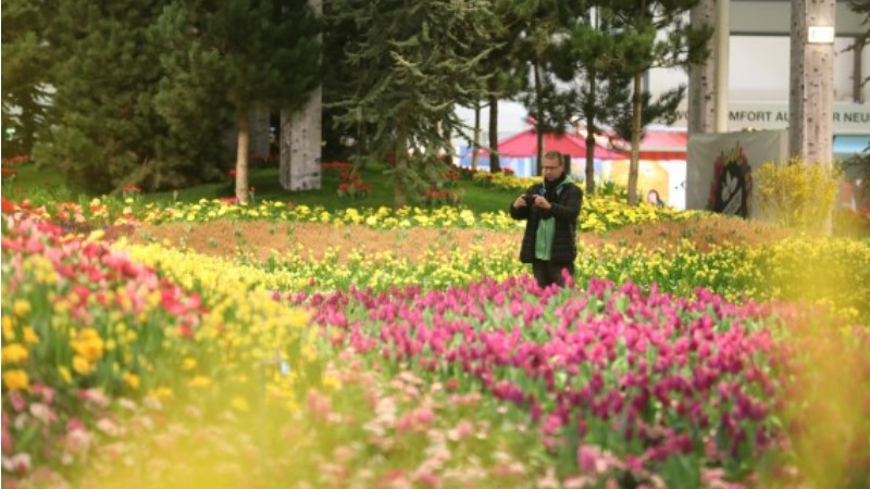 Ein Farbenmeer auf der IGW – die Blumenhalle. Foto: Messe Berlin