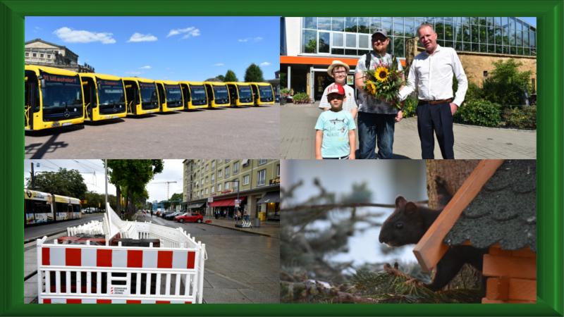 Rückblick August - Linie 68 elektrisch / 500.000 Besucher im Zoo /Promenadenring Ost / Nussdieb im Futterhaus ©MeiDresden.de