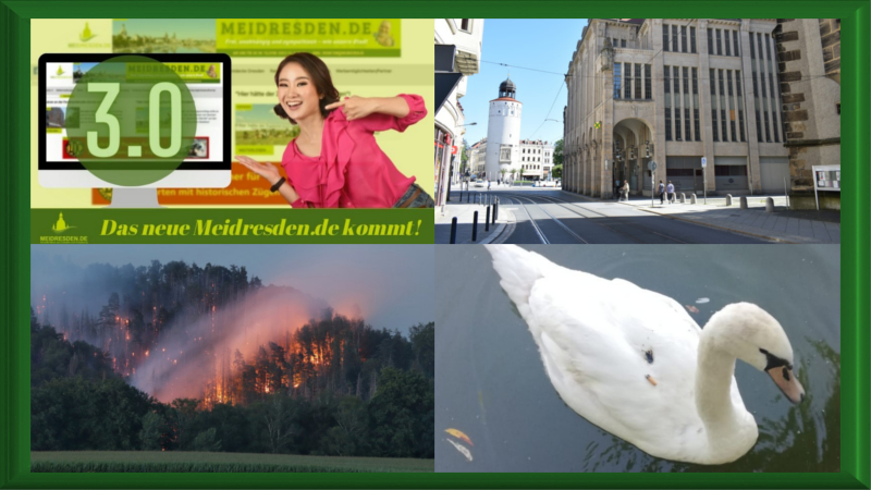 Rückblick Juli - MeiDresden 3.0/ Sommertour Görlitz ©MeiDresde.de / Waldbrände Sächsische Schweiz  ©Martin Vogler / Jungschwan verletzt ©privat