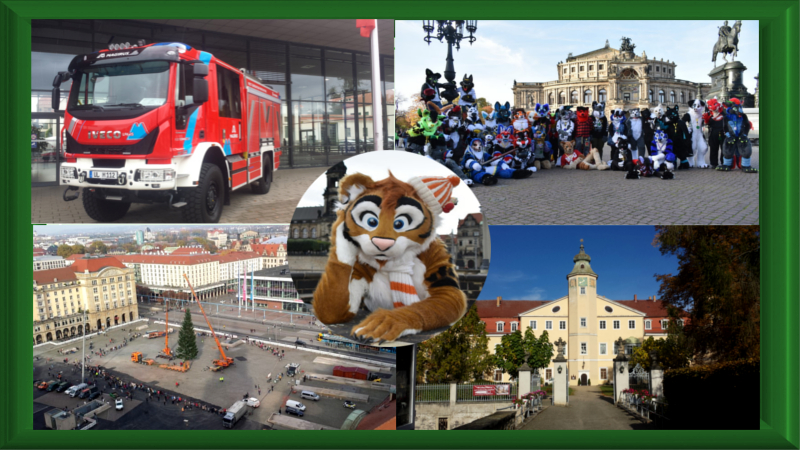 Rückblick Oktober - Furrys in Dresden/ Florian Messe/ Altmarkt Tanne/ Entdecke Hermsdorf ©MeiDresden.de