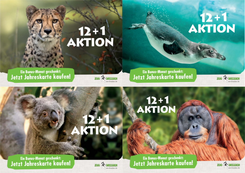 Zoo Dresden schenkt Bonus-Monat auf alle Jahreskarten ©Zoo Dresden