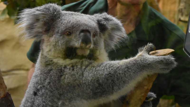 Winterferienprogramm im Zoo Dresden ©MeiDresden.de