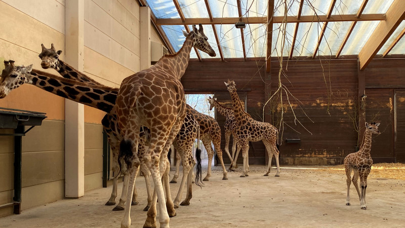 Foto: © Zoo Leipzig
