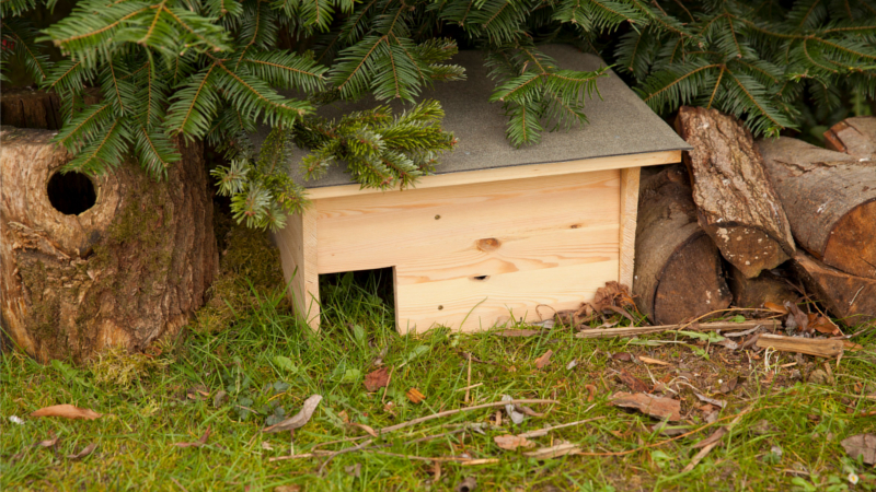 Statt Laub- oder Reisighaufen kann auch ein selbstgebautes Häuschen dem Igel als geeignetes Winterquartier dienen. © DJD/STIHL