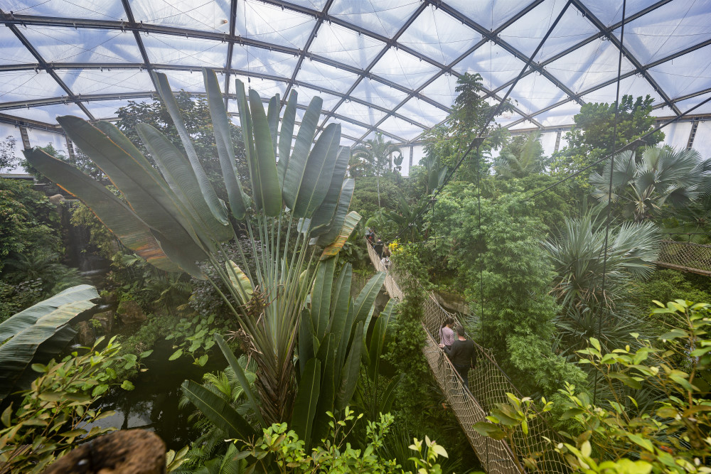 Foto: © MeiDresden.de/Toni Bäsken