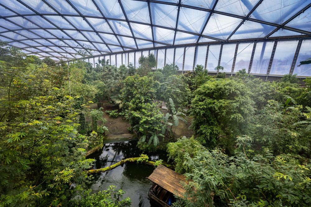 Foto: © MeiDresden.de/Toni Bäsken