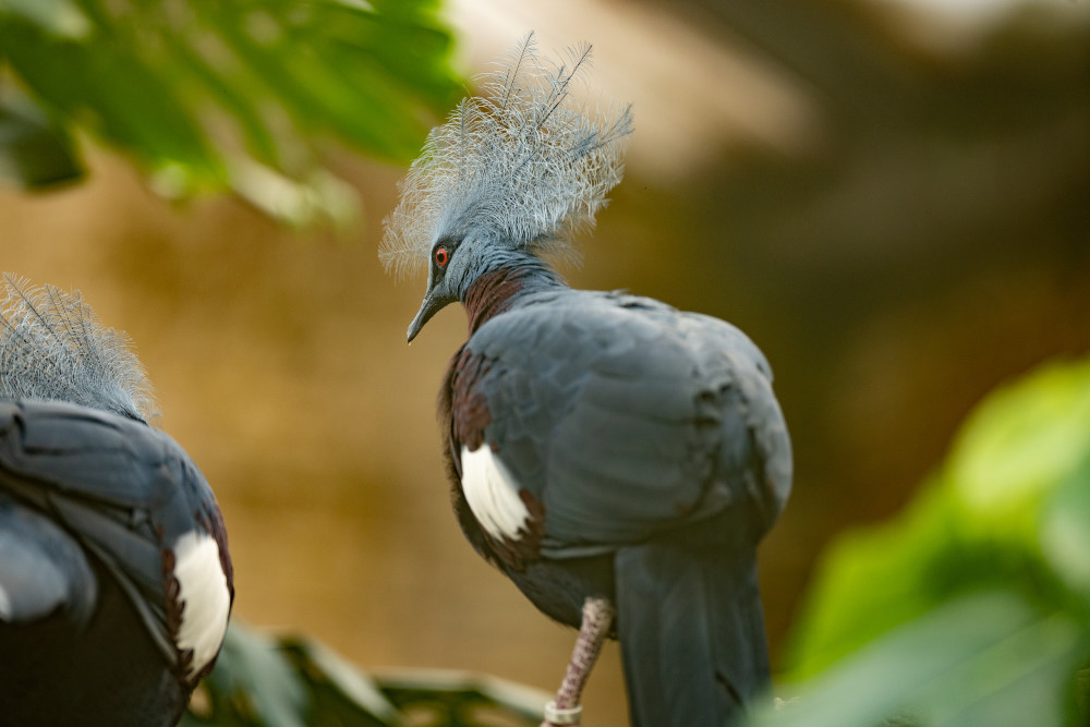 Foto: © MeiDresden.de/Toni Bäsken
