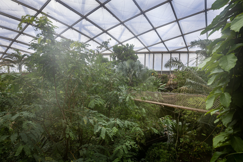 Foto: © MeiDresden.de/Toni Bäsken