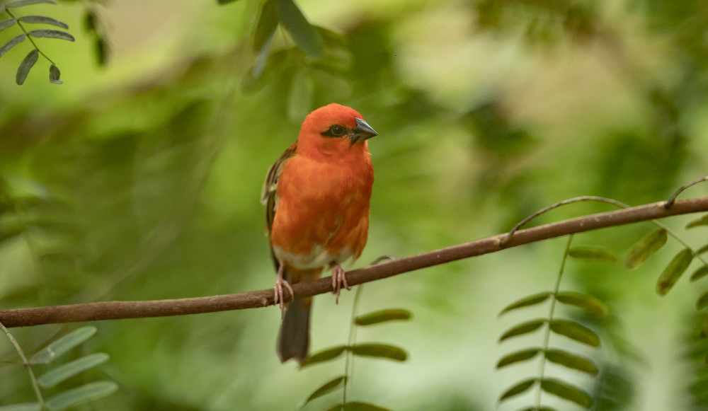 Foto: © MeiDresden.de/Toni Bäsken