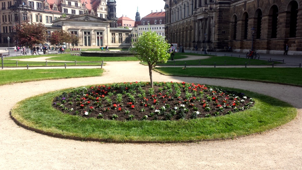 In  Dresden begann die Sommerbepfanzung, wie hier vor der Sempergallerie am Theaterplatz ©MeiDresden.de