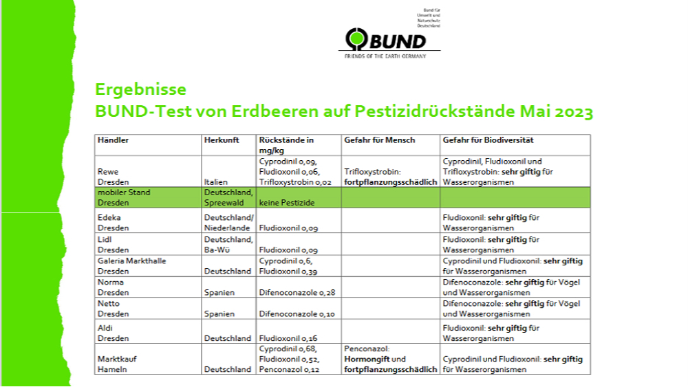 Test: vier von fünf Erdbeeren enthalten Pestizidrückstände - Testergebnisse ©BUND