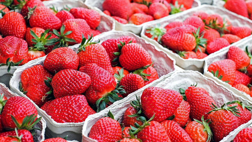 Test: vier von fünf Erdbeeren enthalten Pestizidrückstände ©Couleur (Pixabay)